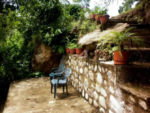 บานานา ลอดจ์ โรงแรมใน