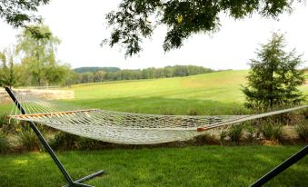 Inne at Watson's Choice and Harvest House B&B - Housity