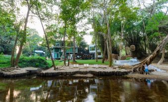 a serene scene with a body of water surrounded by lush green trees , creating a picturesque setting at Villa Moreeda