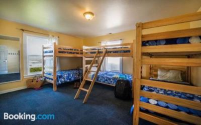 Bed in Women's 6-Bed Dormitory