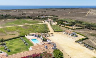an aerial view of a large property with a pool , grass , and a house surrounded by vineyards at Herdade Do Touril