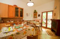 Green Paradise Affittacamere - Bed and Breakfast