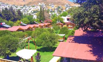 Pitos Bungalows