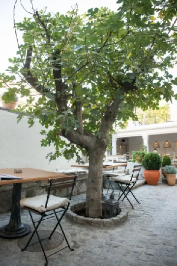 Smokvica Dorćol B&B Отели рядом с достопримечательностью «Дунай»