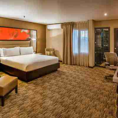 Hilton Garden Inn Guatemala City Rooms