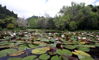 Rapaura Watergardens