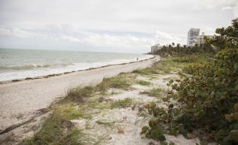 a sandy beach near a body of water , with people walking and enjoying the view at Coral Reef at Key Biscayne