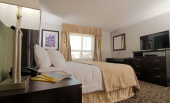 Paradise Inn and Suites Redwater