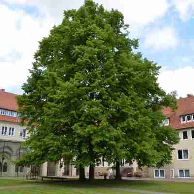 Michaeliskloster Tagungsstätte Others