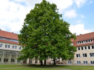 Hotel- und Tagungsstätte im Michaeliskloster