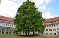 Michaeliskloster Tagungsstätte