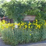 BEI SONNTAGS Hotels in Niesky