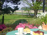 Hotel Haus Nachtigall - B&B Hotels in Kalkar