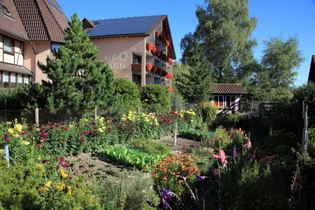 ALBHOTEL BAUDER Отели в г. Энгстинген