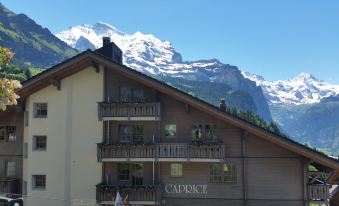 Hotel Maya Caprice