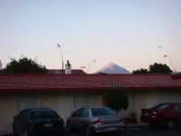 Bks Egmont Motor Lodge - Motels