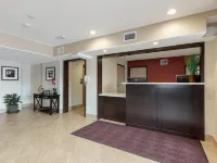 آمريكاز بيست فاليو إن إن آر جي بارك ميديكال سنتر Hotels near إن آر جي بارك
