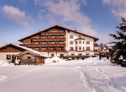 阿爾卑斯大飯店