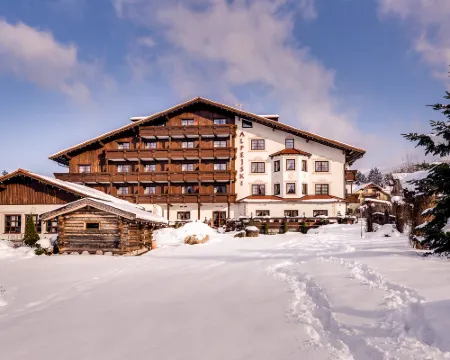 Hotel Alpejski Hotele w: Karpacz