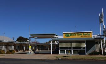 Wattle Tree Motel