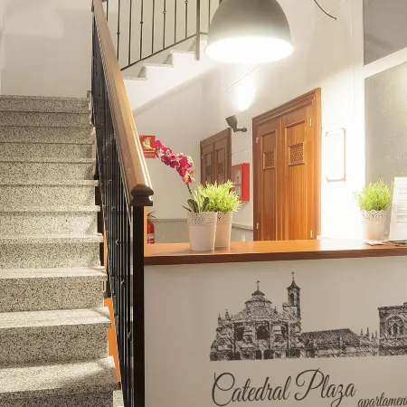 Apartamentos Catedral Plaza 3000