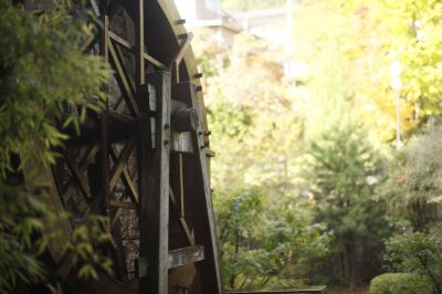 庭 鶯宿温泉 長栄館の写真