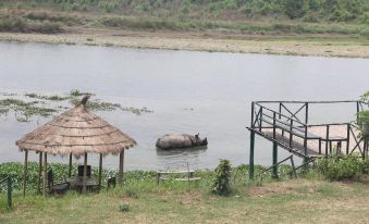 Jungle Wildlife Camp