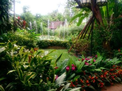 庭 ヴィアン ターペー リゾートの写真