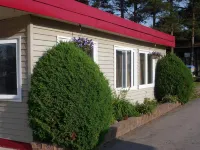 The Silver Birch Motel