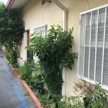 Sands Inn