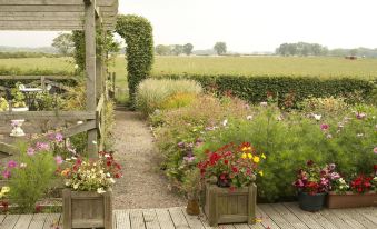 a garden with various plants and flowers , including red ones in wooden planters , is seen from a wooden walkway at Northumberland Cottage