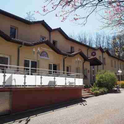 The Originals City, Hôtel et Restaurant Aster, Saint-Avold Nord Hotel Exterior
