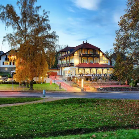 Park Villa Zentral am Mittelrhein - Zimmer & Apartments Self Check IN