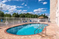 Holiday Inn Express & Suites TAMPA NORTH - WESLEY CHAPEL by IHG - Uima-altaat