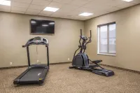 Comfort Inn PA Turnpike - I-81 - Gym