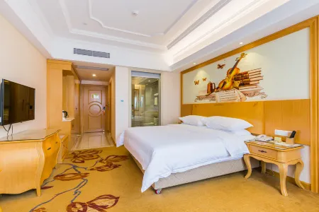 Vienna Hotel (Foshan Lishui Diyicheng)