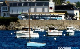 Logis Hotel Bellevue