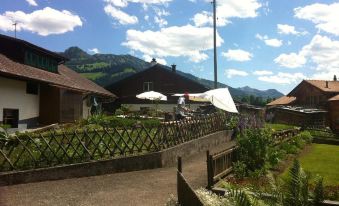 400 Year Old Swiss Chalet