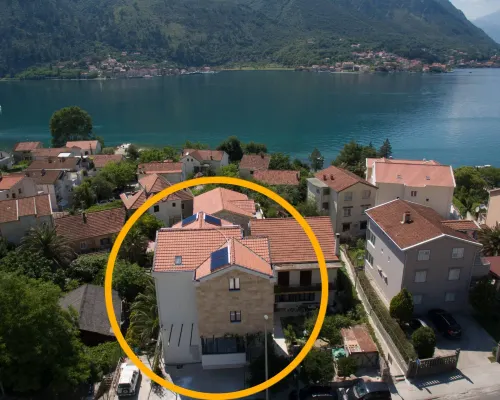 Hotel Alkima Hotels in Dobrota