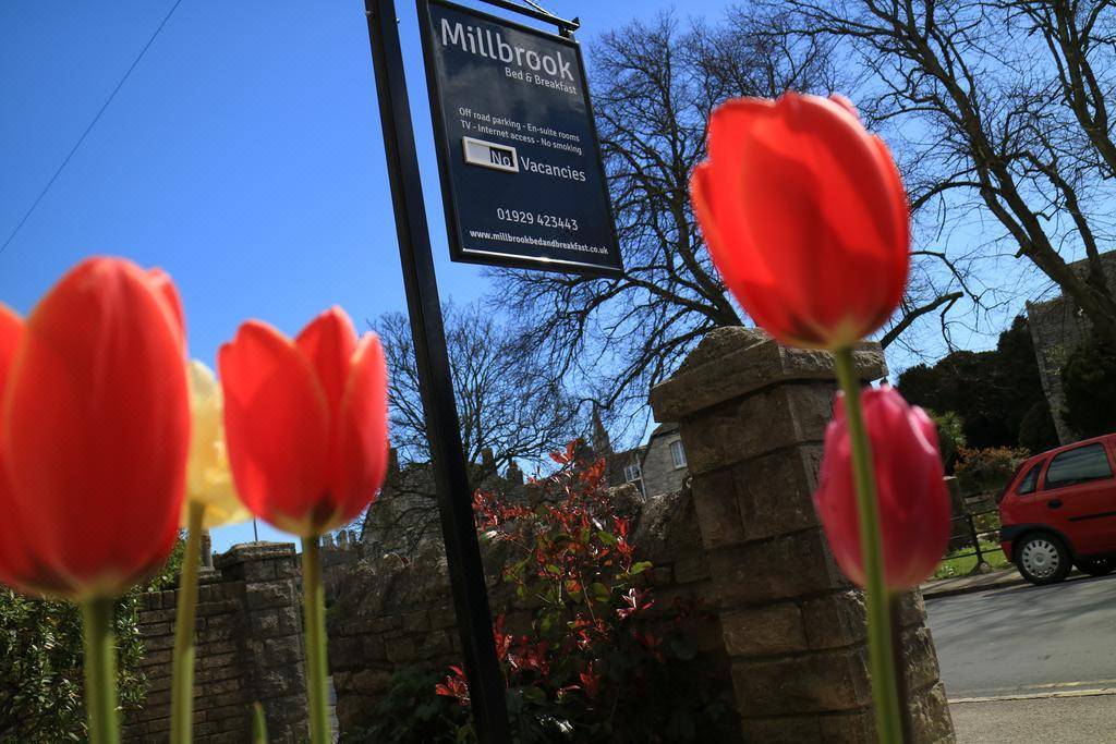 Millbrook Guest House-Swanage Updated 