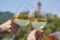 Flair Hotel am Rosenhügel - Garni