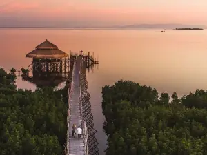 Popular Vacation Homes in Panglao