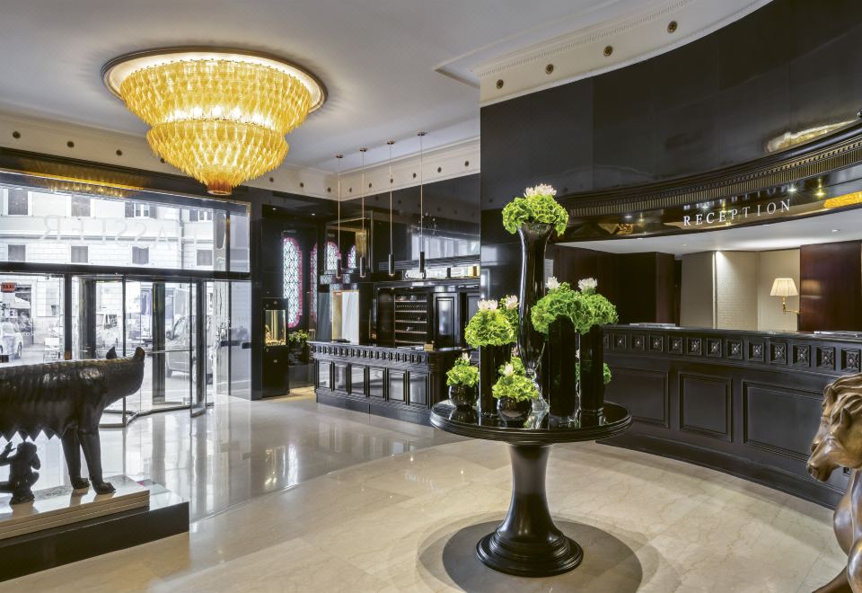 하슬러 로마 스파 이미지