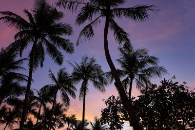 ホテル周辺 デュシット ビーチリゾート グアムの写真