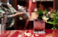 萊昂納多皇家酒店威尼斯梅斯特雷 - 酒吧