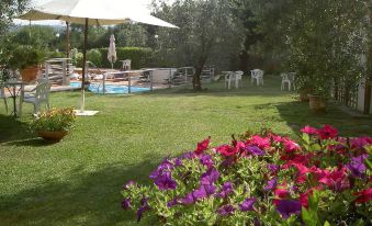 Hotel Umbria - Housity