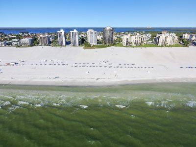 Surroundings Gullwing #1002 3Br Beachfront W/ 180 View 3 Bedroom Condo Photo