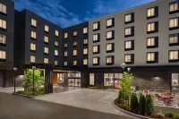 Hilton Garden Inn Seattle Airport - Quầy bar