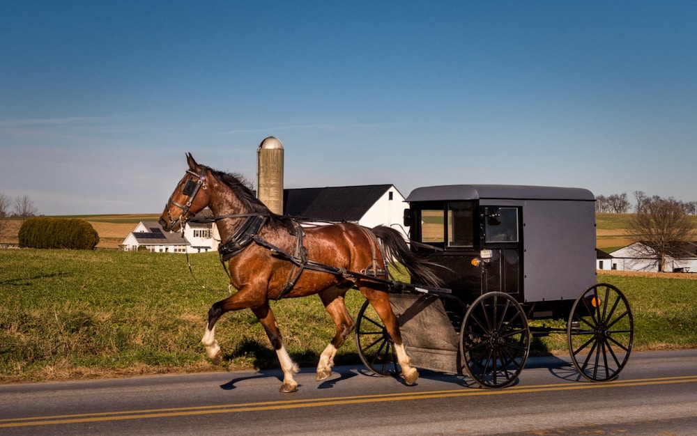 Harvest Drive Family Inn Intercourse - Amish Country