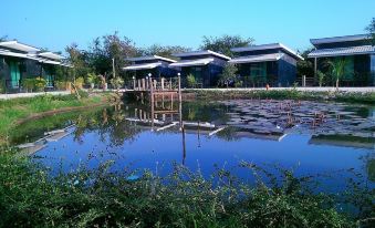 2. Baan Ton..